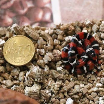 Rund 300 Halter seltener Tierarten sind im Landkreis registriert.