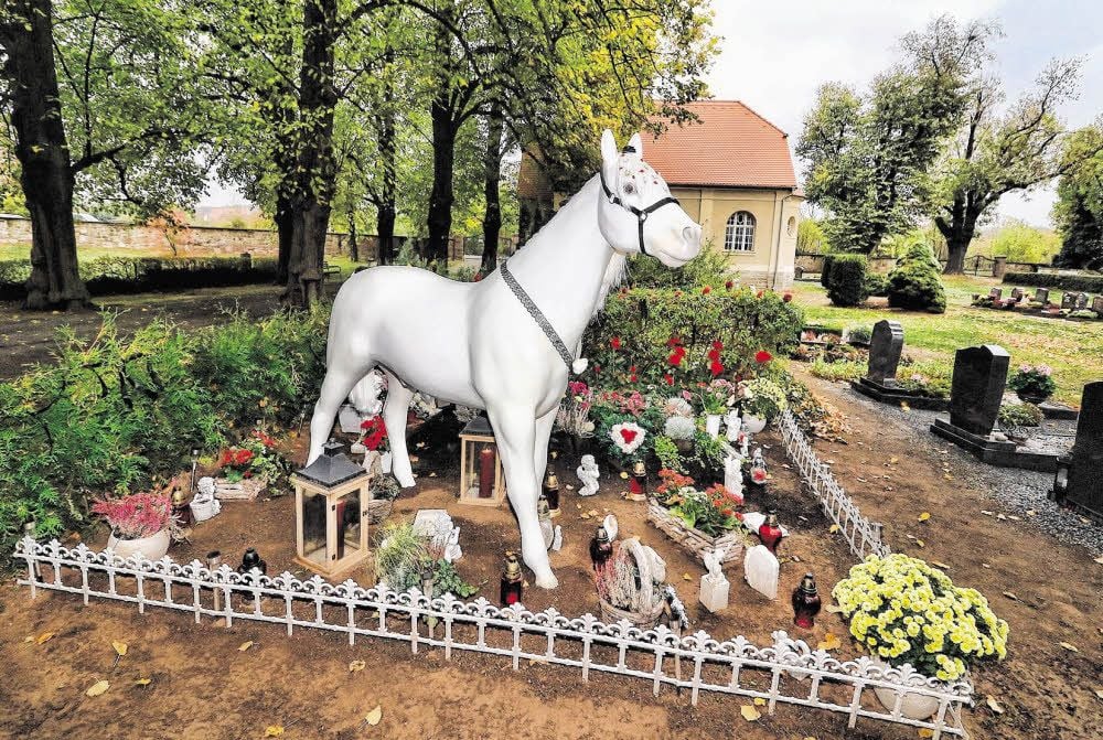 Das Grab auf dem Roßlaer Friedhof zieht viele Blicke auf sich, die Meinungen gehen weit auseinander.