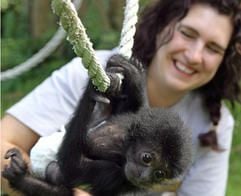 Nicole Onnen, Tierpflegerin im Tier- und Freizeitpark Jaderberg, beobachtet die Turnübungen des Affenbabys «Medan». Das Siamang-Gibbonmädchen wird von ihr per Hand aufgezogen. (Foto: dpa)