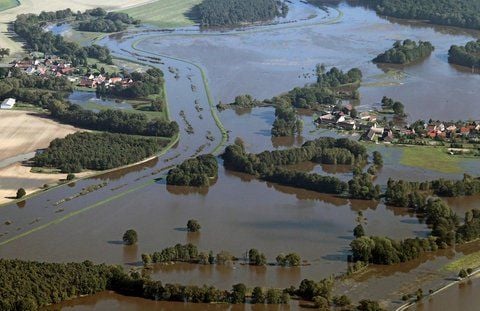 Das Dorf Meuselko (Landkreis Wittenberg) steht am Freitag in den Fluten der Schwarzen Elster. (FOTO: DPA)