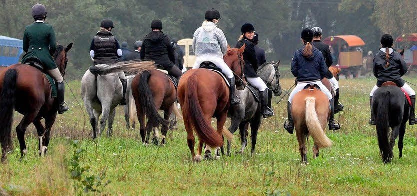 Der Bergwitzer Reitverein gestaltet einen Ausritt mit Hindernissen.