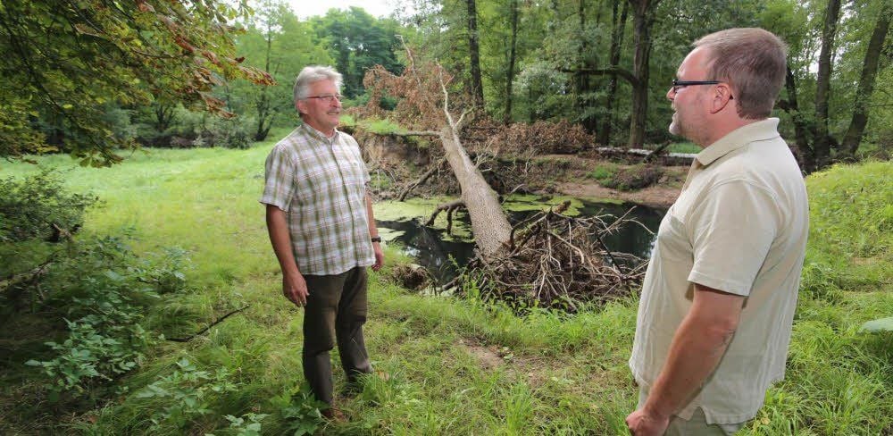 Begutachten den Schaden: der Retzauer Ortsbürgermeister Friedhard Kolch (l.) und Thomas Nießner von der Wasserwehr. Beim Hochwasser 2013 brach der Deich bei Retzau auf 20 Metern Länge.