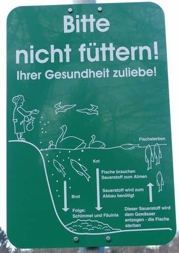 Hinweisschilder - von den Anglern aufgestellt - sollen nun dafür sorgen, dass die Tiere nicht mehr gefüttert werden.