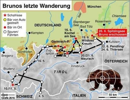 Der Weg Brunos bis zu seinem Abschuss (Grafik: dpa)