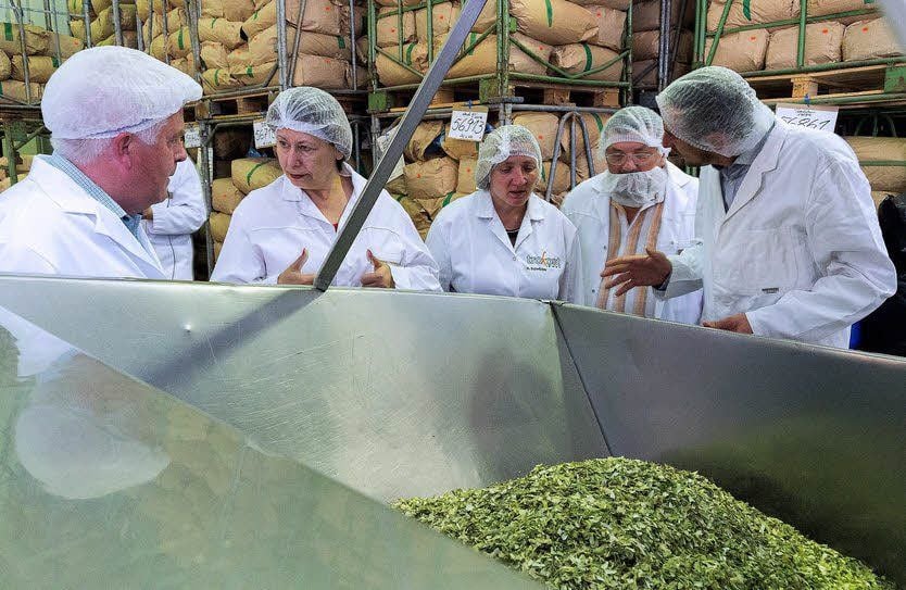 Die SPD-Bundestagsabgeordnete Marina Kermer (2.v.l.) bei der Trokost GmbH in Steigra. Geschäftsführer Wolfgang Kocher (l.) erklärt ihr die Produktion.