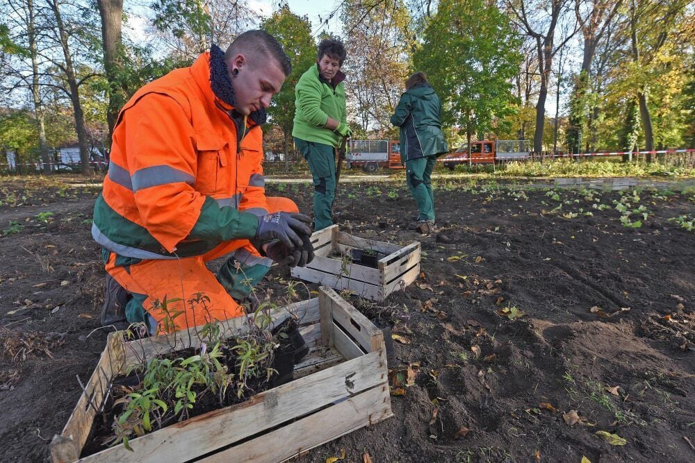 Gemeinsame Sache: Mitarbeiter des Bauwirtschaftshofes der Stadt Aschersleben sind im Stadtpark tätig.