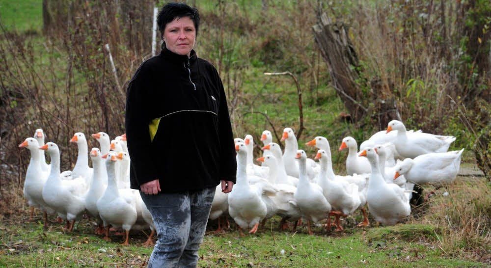 Jeannette Leinichen mit Gänsen auf dem Gelände des Geflügelzuchtbetriebs in Poserna