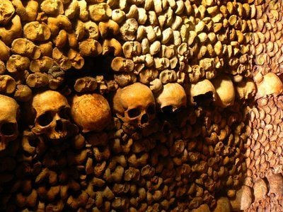 Eine Reihe Totenköpfe hängt an einer Wand der Katakomben in Paris. (Foto: dpa)