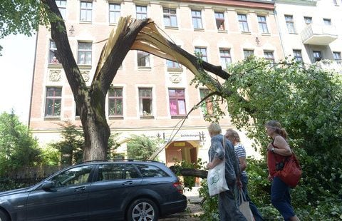 Umgestürzte Bäume liegen am Samstag in einer Straße in Berlin-Tegel. Heftige Sommergewitter haben über dem Norden und Osten Deutschlands getobt und örtlich erheblichen Schaden angerichtet. (FOTO: DPA)