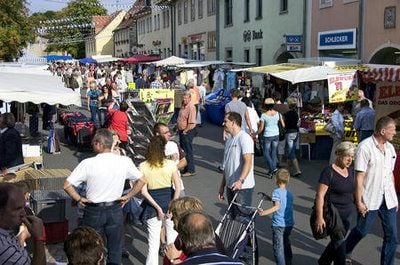 Zum Brunnenfest 2008 in Bad Lauchstädt kamen am Wochenende mehr als 10 000 Besucher. (MZ-Foto: Peter Wölk)