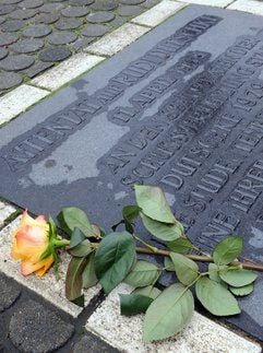 Eine gelbe Rose in Berlin auf dem Kurfürstendamm auf der Gedenktafel. (Foto: dpa)