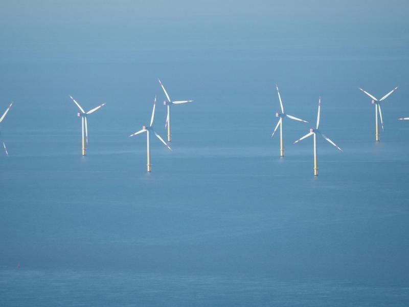 Ein Offshore-Windpark in der Nordsee. Foto: Sina Schuldt/dpa