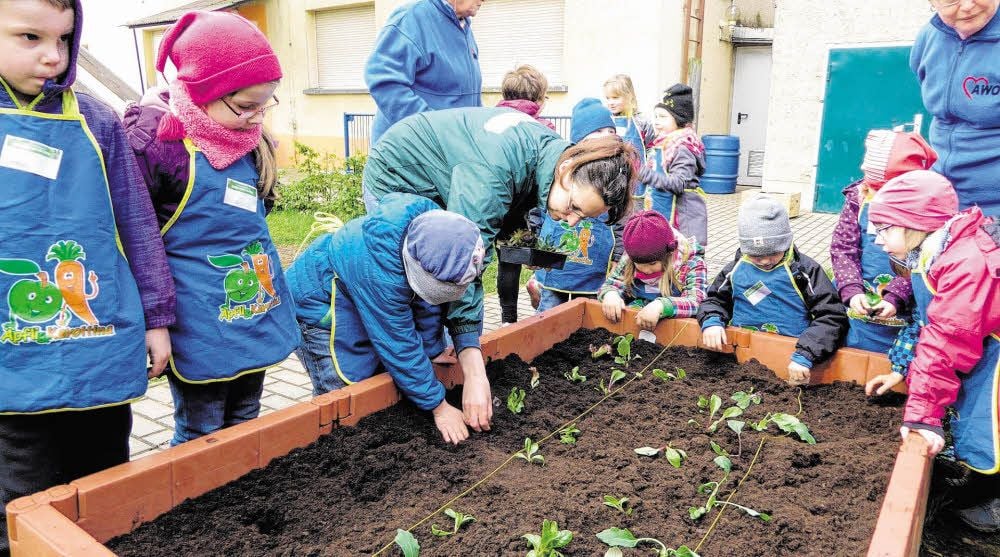 Über 13.600 Euro muss die Stadt Aken der Arbeiterwohlfahrt für den Betrieb der Kita „Lebensfreude“ in den letzten vier Monaten des Jahres 2017 nachzahlen. Hintergrund sind Verhandlungen zwischen der Awo und dem Landkreis.