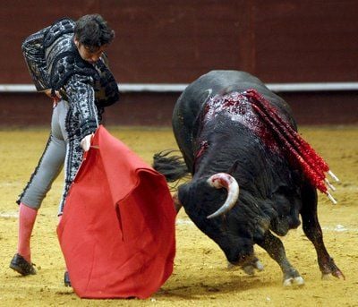 Stierkämpfer Cayetano Rivera Ordonez - Der Streit um das Für und Wider von Stierkämpfen in Spanien ist um eine Kontroverse reicher: Die Region Madrid kündigte an, sie werde die uralte Tradition zum spanischen Kulturgut erklären. (FOTO: DPA)