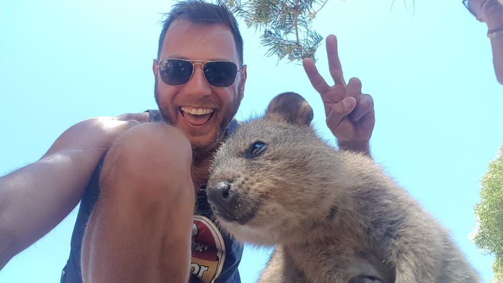 Begegnung der besonderen Art in Australien: Links Tobias Weilbeer, rechts ein Kurzschwanzkänguru, auch „Quokka“ genannt.