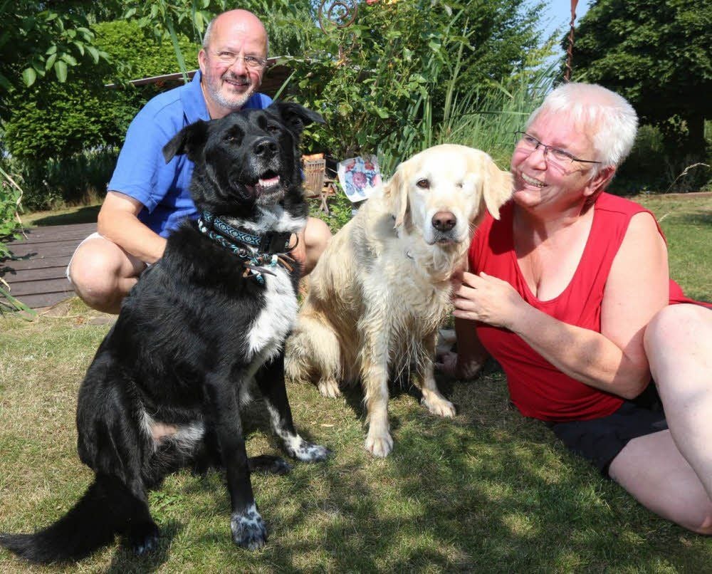 Ulrike und Thomas Wannenmacher aus Gossa setzen sich für Hunde in Kroatien ein.