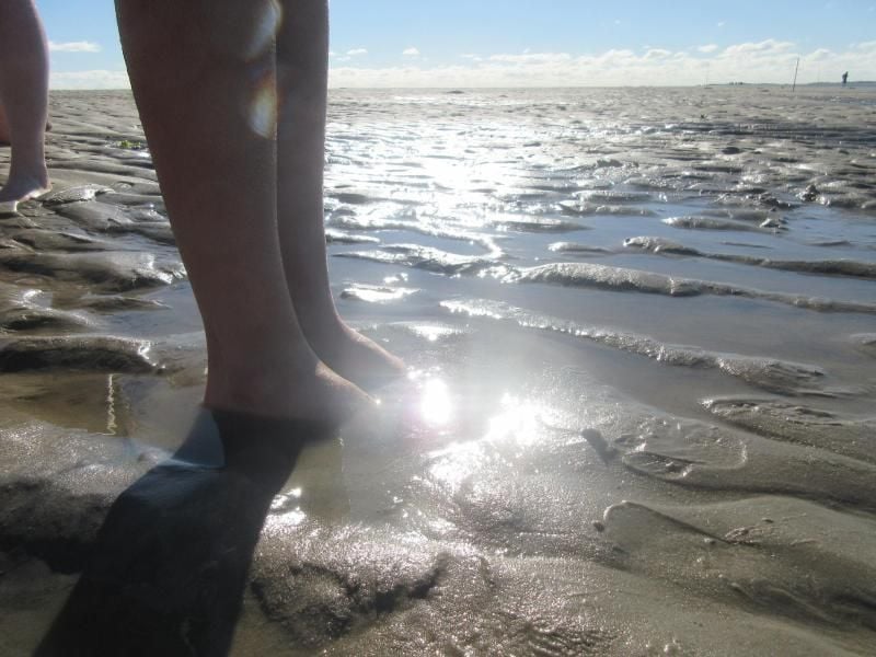Das Wattenmeer wurde als Deutschlands schönste Wildnis ausgezeichnet. Foto: Helen Ahmad/Archiv