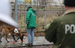 Polizeikräfte suchen im Chemnitzer Schlossteichviertel mit einem Spürhund nach einer Tatwaffe und anderen Spuren. In der Nacht zuvor hatten hier unbekannte Täter eine Taxifahrerin mit mehreren Messerstichen ermordet. (Foto: dpa)