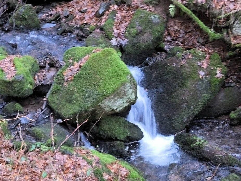 Bilder wie diese zeigt Karin Lehmann im Portal: Auf einer Wanderung im Harz entdeckte sie den kleinen Wasserfall.
