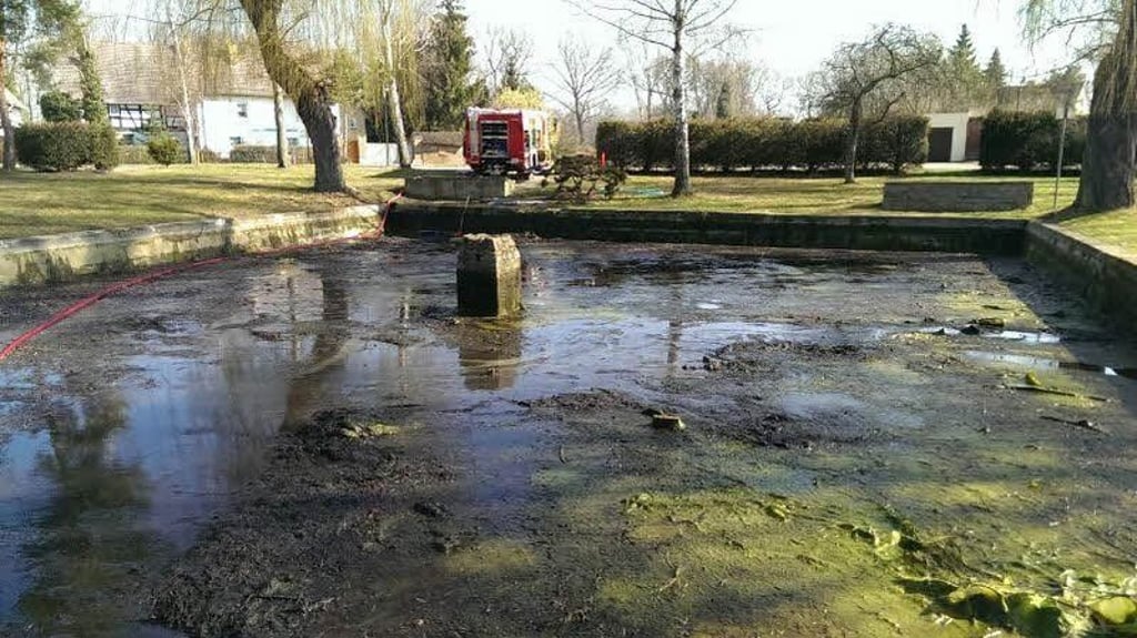 Feuerwehr in Profen Feuerwehr in Profen Undichter Teich wird saniert