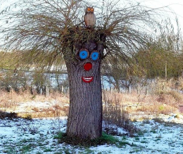 Und so sieht die Weide im Winter aus.