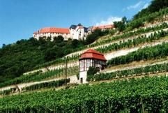 Schloss Neuenburg in Freyburg. (Foto: dpa)