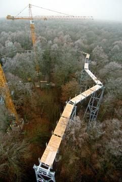 Deutlich ist die Konstruktion des so genannten Baumkronenpfads zwischen den Baumwipfeln bei Craula nahe Bad Langensalza (Thüringen) zu erkennen. (Foto: dpa)