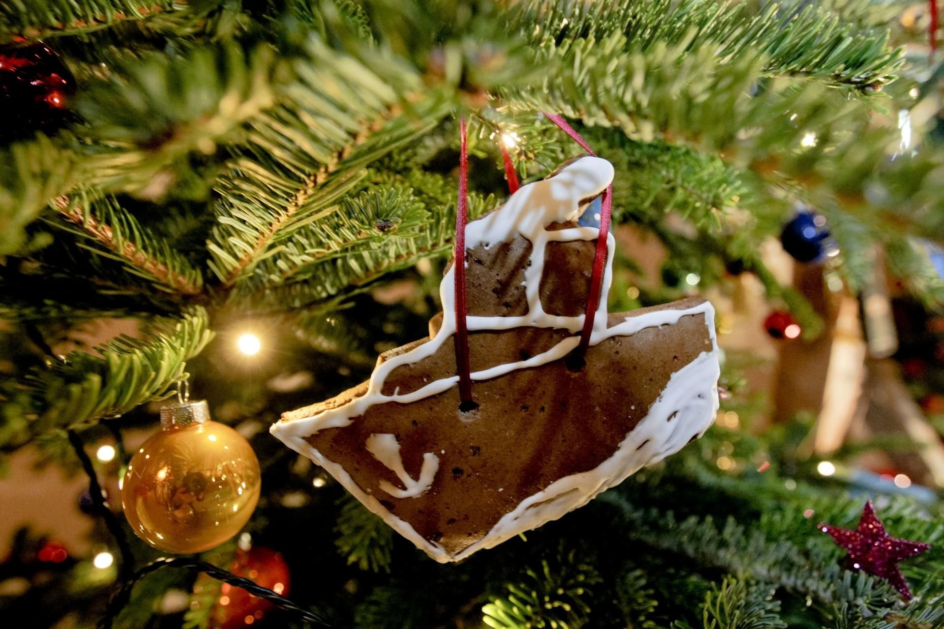 Ein echter Weihnachtsbaum gehört für viele zum Fest – doch wie umweltfreundlich ist die Tradition?