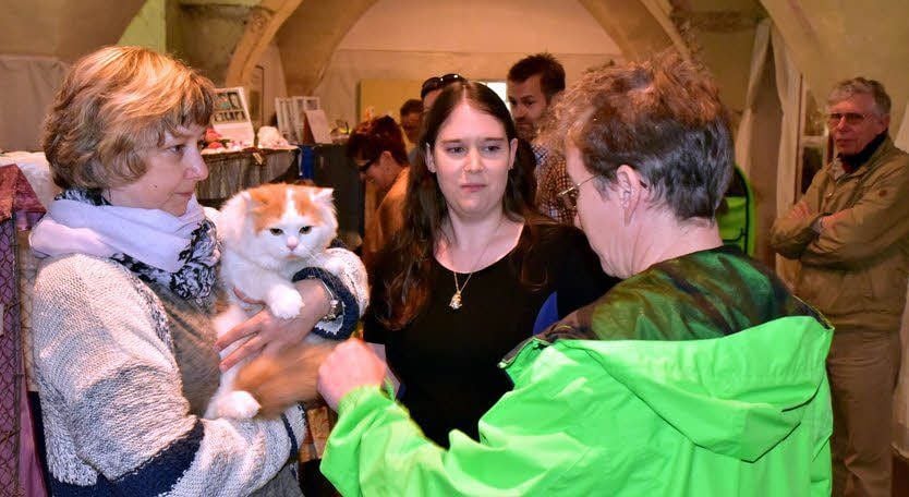 Beate Mandausch aus Dessau (links) war mit Kajo, einer Katze der Rasse Deutsch Langhaar, bei der Werbeschau im Kloster vertreten.