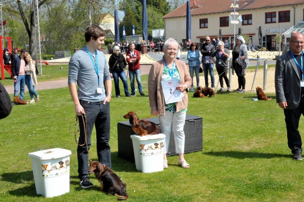 Die Neu-Bernburgerin Bärbel Palitschka belegte mit ihrer Sissi wie bei der Weltmeisterschaft Platz zwei.