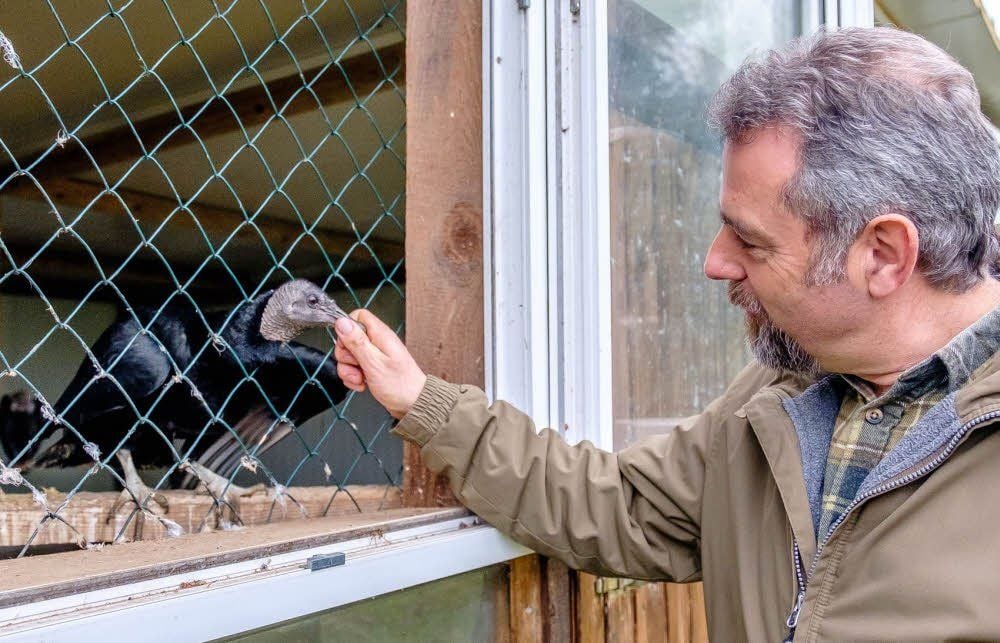 Jim Ohle beschäftigt sich auch im Winterquartier mit den Tieren. Hier streichelt er Rabengeier Robert.