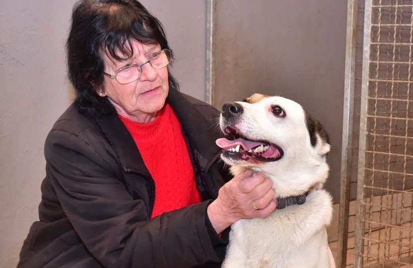 Petra Beier betreut hier einen Weißenfelser Fundhund in der Auffangstation.