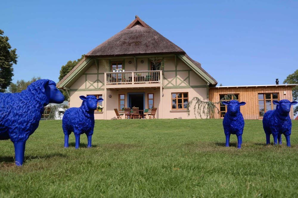 Vor dem sanierten Fischerhaus auf dem von der Lebenshilfe erworbenen Grundstück in Born stehen blaue Friedensschafe unter dem Motto „Alle sind gleich - jeder ist wichtig.“