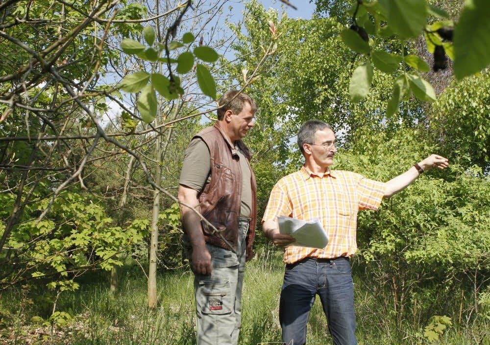 Friedrich Pistorius (r.) und Uwe Hoppstock treten dafür ein, die naturbelassene Fläche als wertvolles Biotop zu erhalten.