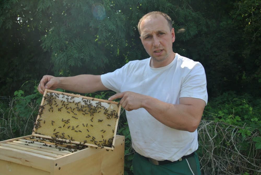 Jungimker Michael Tabel betreut die Bienen der Agrar- und Absatzgenossenschaft Naumburg im Blütengrund.