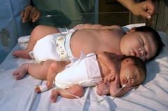 Im mexikanischenBadeort Cancun kam am Montag ein 6,6 Kilogrammschweres Baby zur Welt. (Foto: dpa)