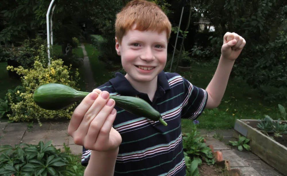 Tim Schweser hat ganz offensichtlich Spaß im Garten. Wenn schon keine Superernte, dann vielleicht was Kurioses? Diese Gurke sieht doch aus wie eine Hantel„, findet der Junge und gibt dem Bild den Namen: Krafttraining im Garten.