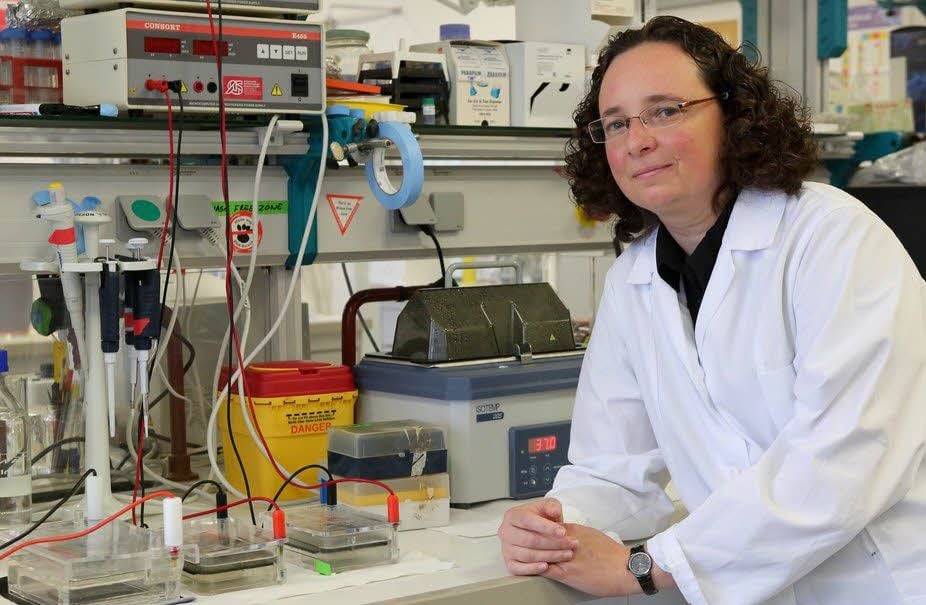 Selma Gago-Zachert forscht am Leibniz-Institut in Halle.