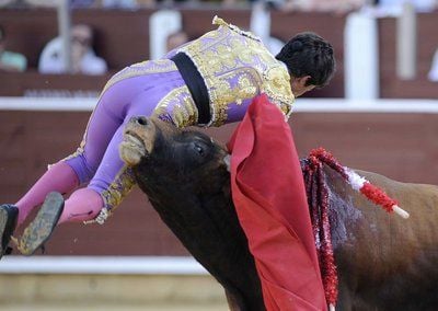 Der spanische Stierkämpfer Joan de Alamo wird in der Arena von Albacete von einem Stier auf die Hörner genommen, nachdem er das Tier mit Lanzen verletzt hatte (FOTO: DPA)