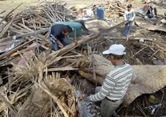 Überlebende des Tsunami stehen in den Trümmern ihrer Häuser in der Ortschaft Pangandaran im Westen von Java. (Foto: dpa)