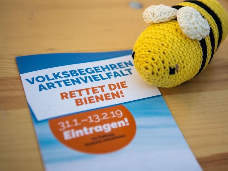 Das Volksbegehren Artenvielfalt zielt auf Änderungen im bayerischen Naturschutzgesetz. Foto: Lino Mirgeler