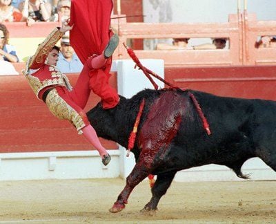 Der spanische Torero Francisco Rivera Ordonez wird im Stierkampf in Alicante, in Spanien von einem Stier buchstäblich auf die Hörner genommen und durch die Luft gewirbelt. (FOTO: DPA)
