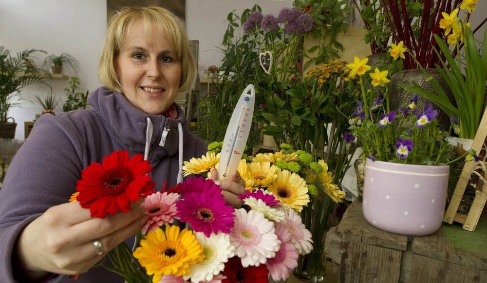 Sophia Rothe weiß, wie Blumen bestens vor Kälte geschützt werden.