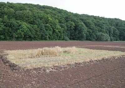 Ein großes Viereck auf dem Acker ist abgesperrt, dort liegt der Erdfall.