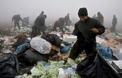 Roma sammeln Abfall auf einer Müllhalde in Kosovo Polje. (Foto: dpa)