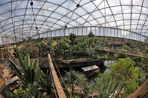 Blick in die Riesentropenhalle Gondwanaland im Zoo Leipzig. (FOTO: DPA/ARCHIV)
