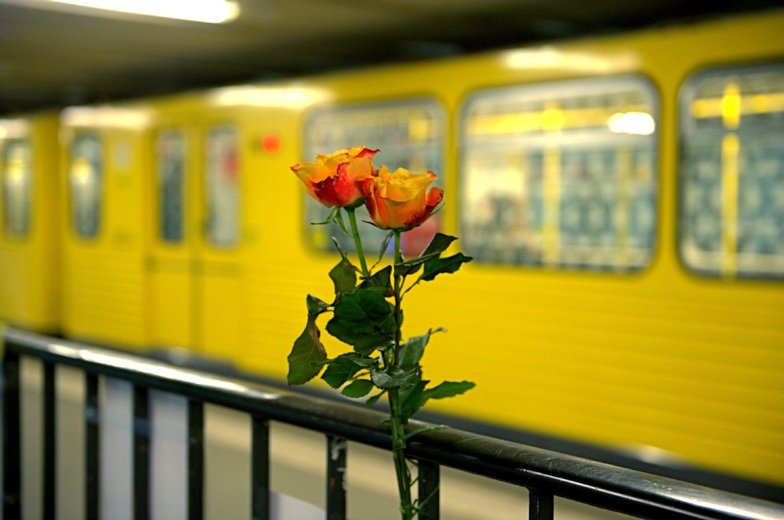 Blumen auf einem Berliner Bahnsteig: Sie erinnern an eine junge Frau, die im Januar diesen Jahres von einem Mann vor eine einfahrende U-Bahn gestoßen worden war.