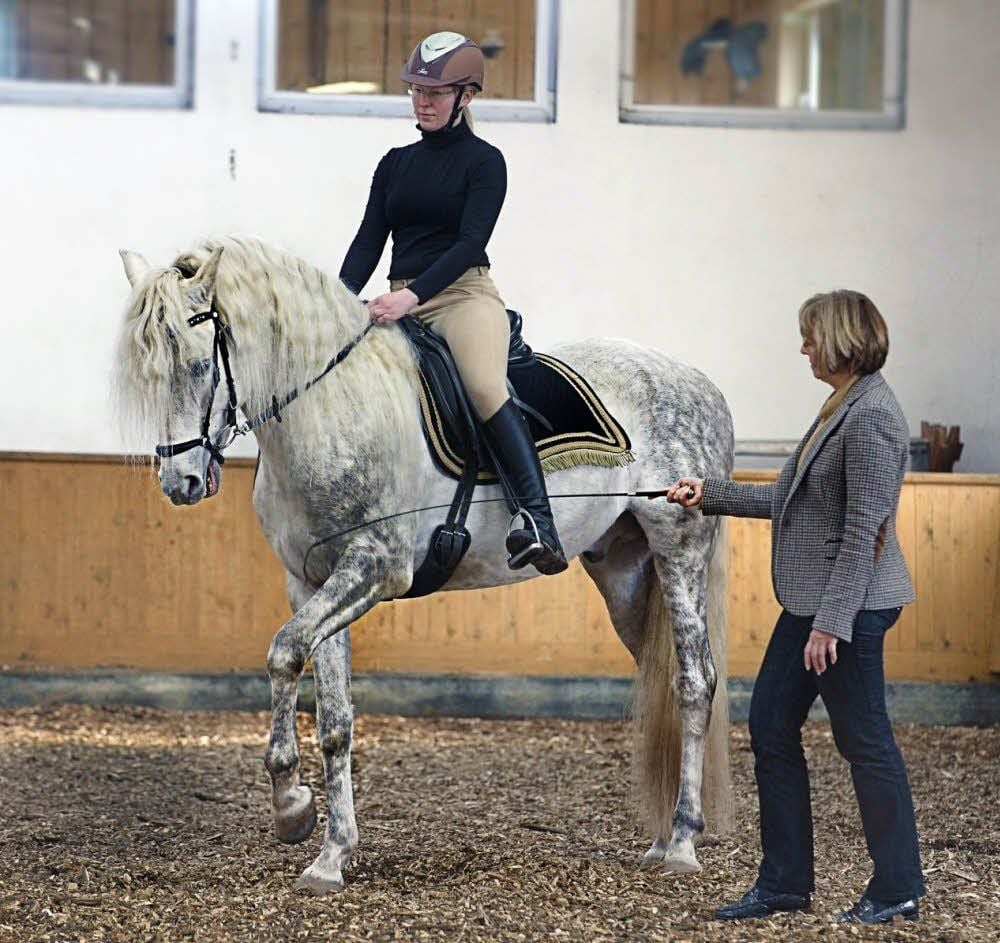 Imponiergehabe in der Reithalle: Hengst Brusco präsentiert den Spanischen Schritt, angeleitet von Reitlehrerin Alexandra Schatz (rechts) und Reiterin Katja Kohl.