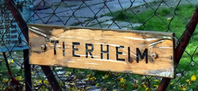 Das alte Tierheim in Weißenfels muss schließen. Nun wendet sich eine neue Initiative an Weißenfelser Bürger, Politiker und Unternehmer.