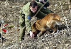 Ein Leichenspürhund der Polizei Oldenburg und sein Führer untersuchen eine markierte Stelle. Polizisten aus Niedersachsen und Bremen suchen seit Montag (21.03.2005) die Umgebung eines Industriegebietes in Bremerhaven genau nach Spuren und Leichenteilen ab. Der mutmaßliche Mörder der Kinder Levke und Felix aus Niedersachsen hat möglicherweise sechs weitere Menschen umgebracht. (Foto: dpa)
